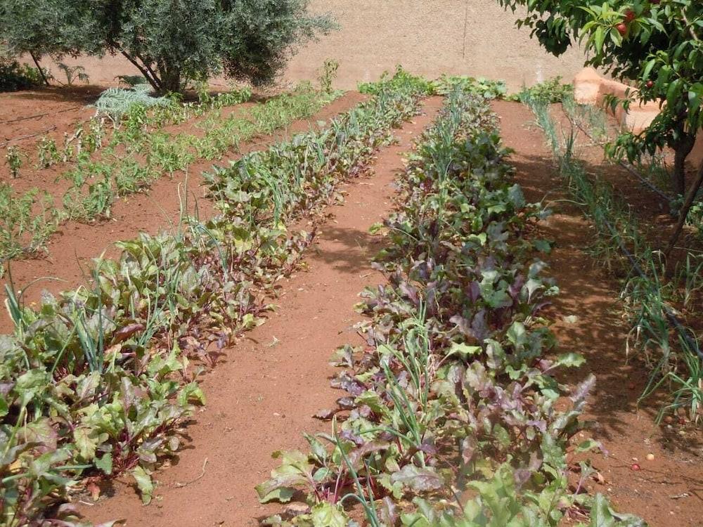 Riad Jnane Ines Taroudant Buitenkant foto
