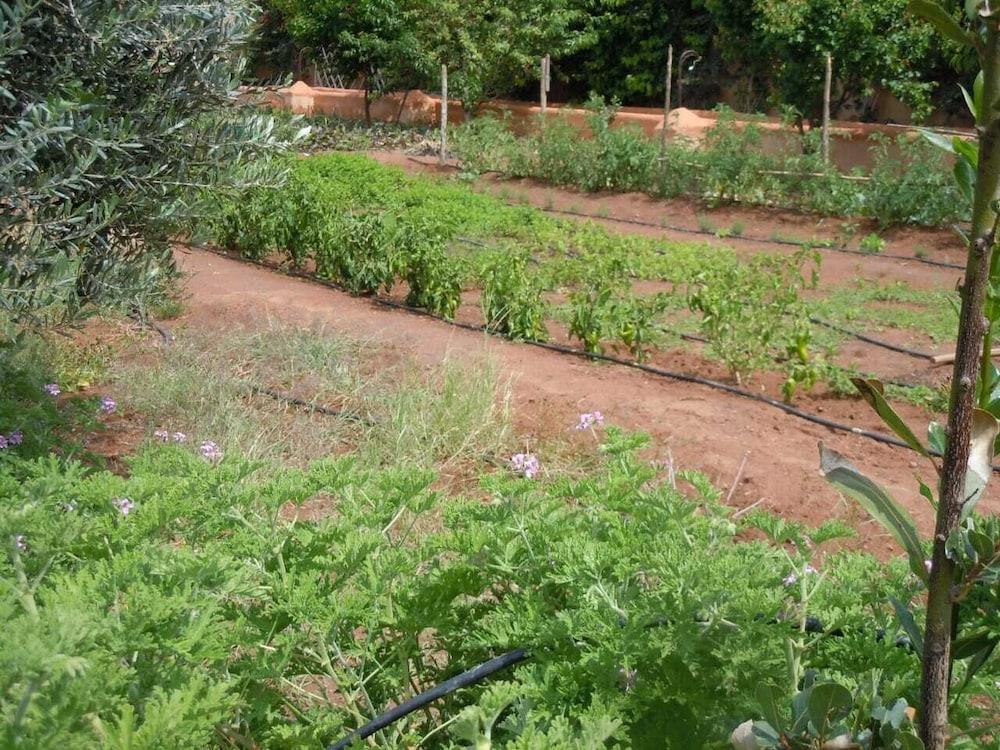 Riad Jnane Ines Taroudant Buitenkant foto