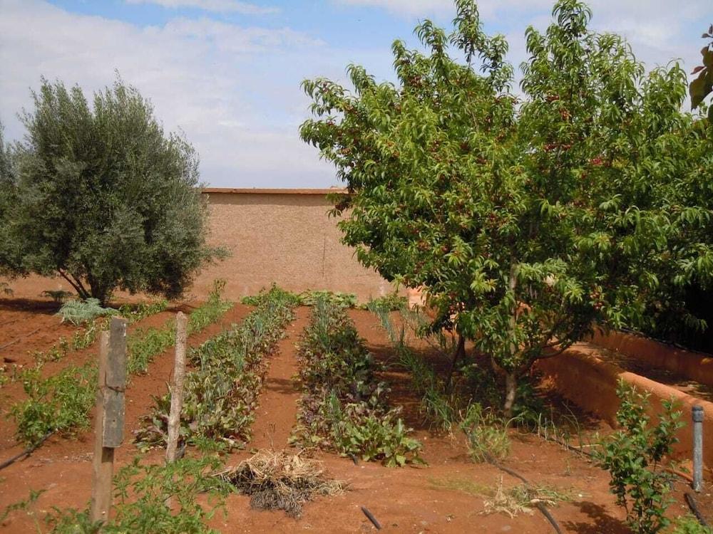 Riad Jnane Ines Taroudant Buitenkant foto