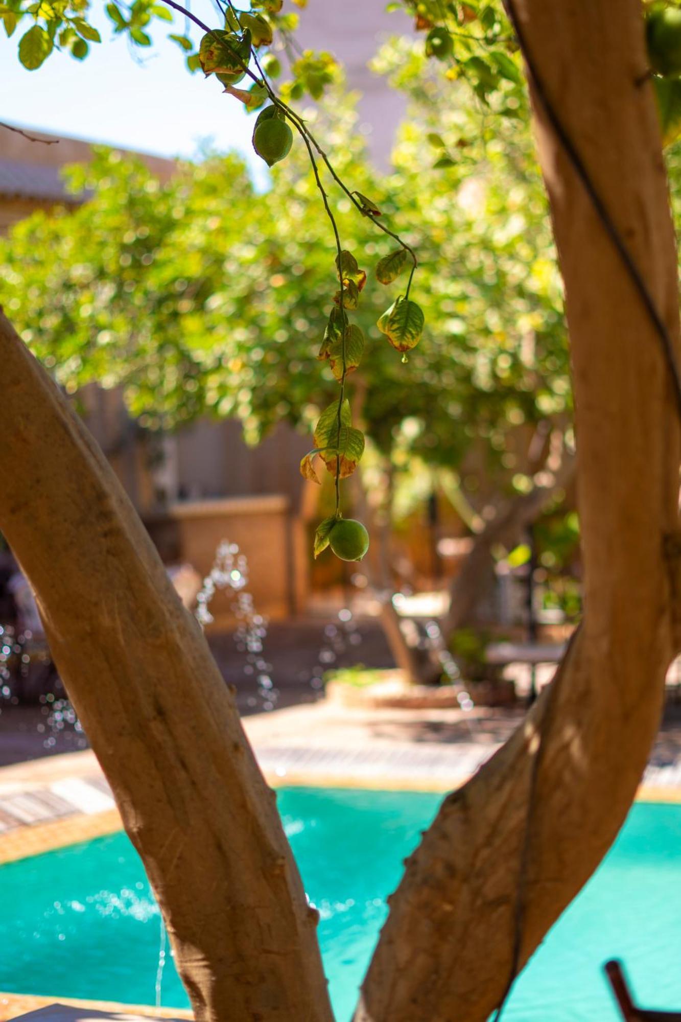 Riad Jnane Ines Taroudant Buitenkant foto